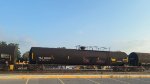 TILX 309342